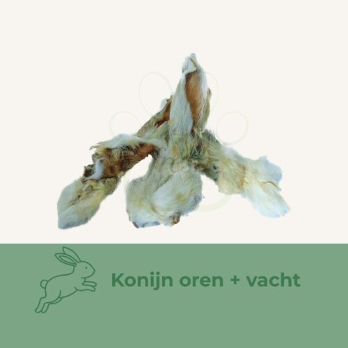 konijnenoren met vacht snack hond