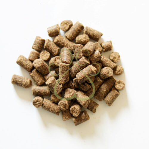 F4A Volbit Kip Persbrok Hond