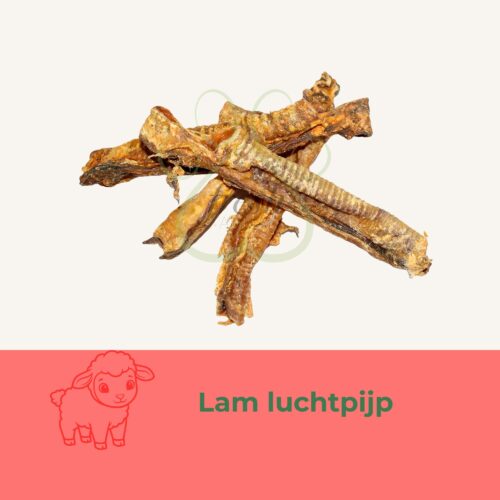 lam luchtpijp snack hond