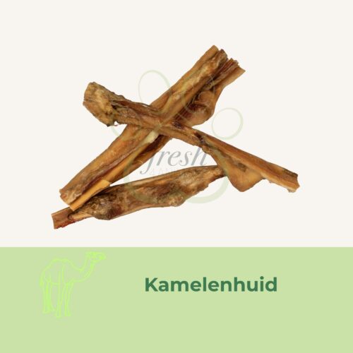 kamelenhuid snack hond