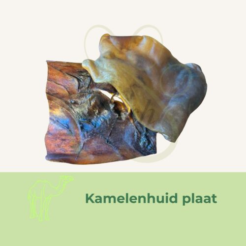 F4A Kamelenhuid Platen kauwsnack hond