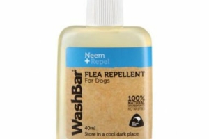 Washbar Flea Repellent – 40ml