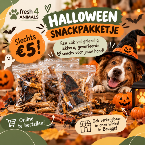 Halloween snackpakket